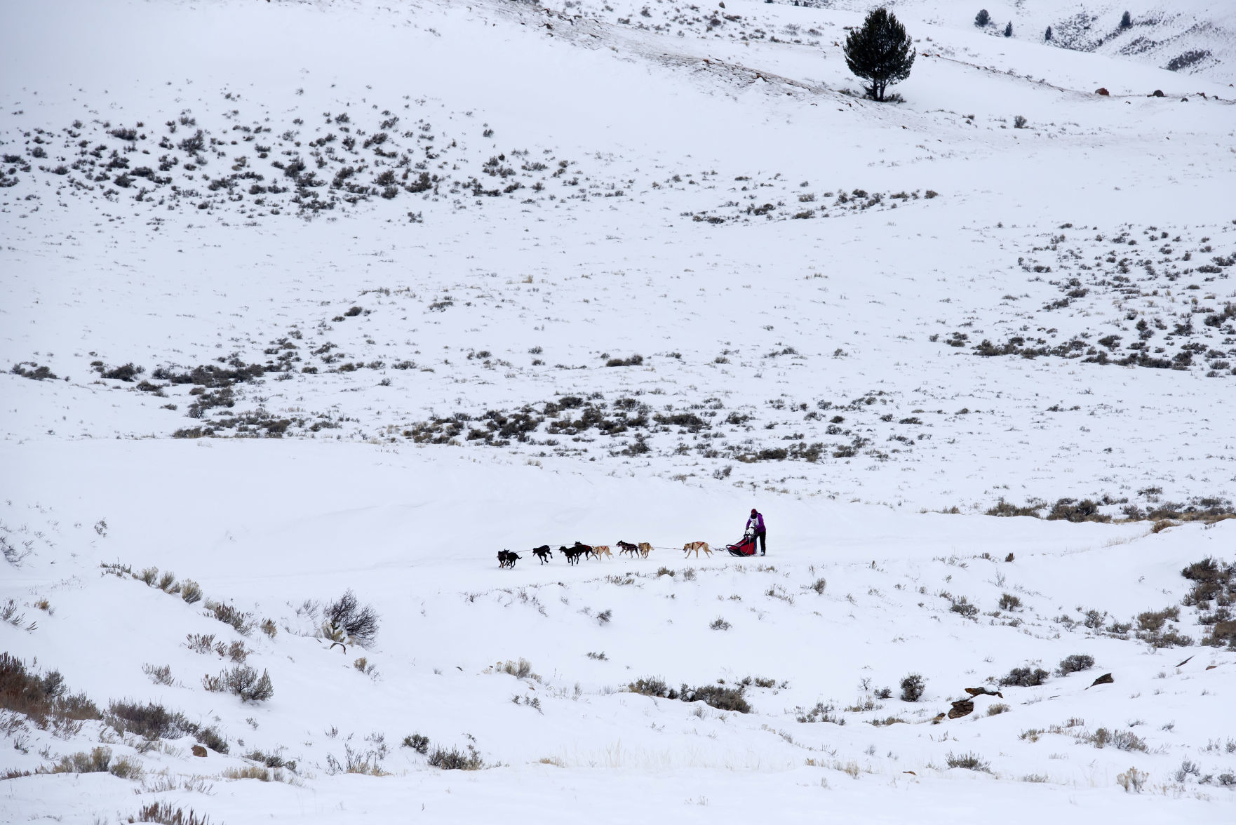 Teton County leg